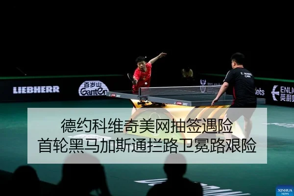 de-yue-ke-wei-qi-mei-wang-chou-qian-yu-xian-shou-lun-hei-ma-jia-si-tong-lan-lu-wei-mian-lu-jian-xian-2-801.jpg